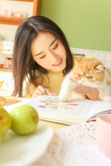 孤战 电视剧